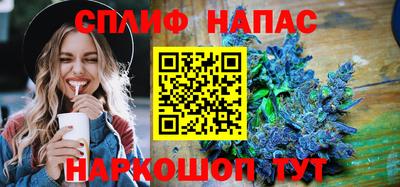 дживик Моздок