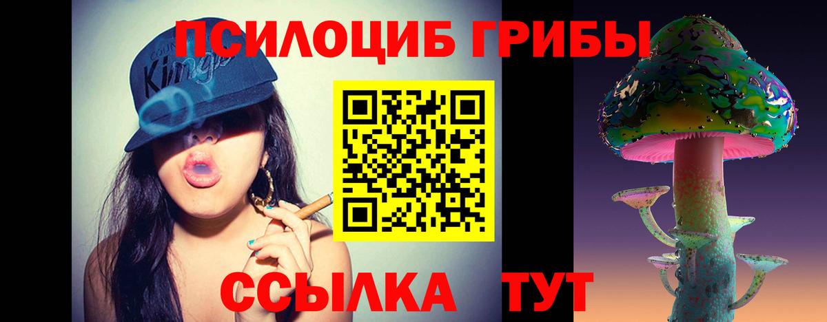 Псилоцибиновые грибы Psilocybine cubensis  наркота  Семёнов  Вход с VPN 