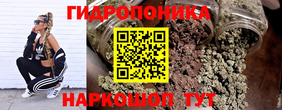 Конопля Ganja  Бошки марихуана Bruce Banner  Марихуана MAZAR  Семёнов  Вход с VPN 